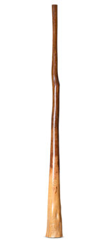 CrookedStixz Didgeridoo (AH417)